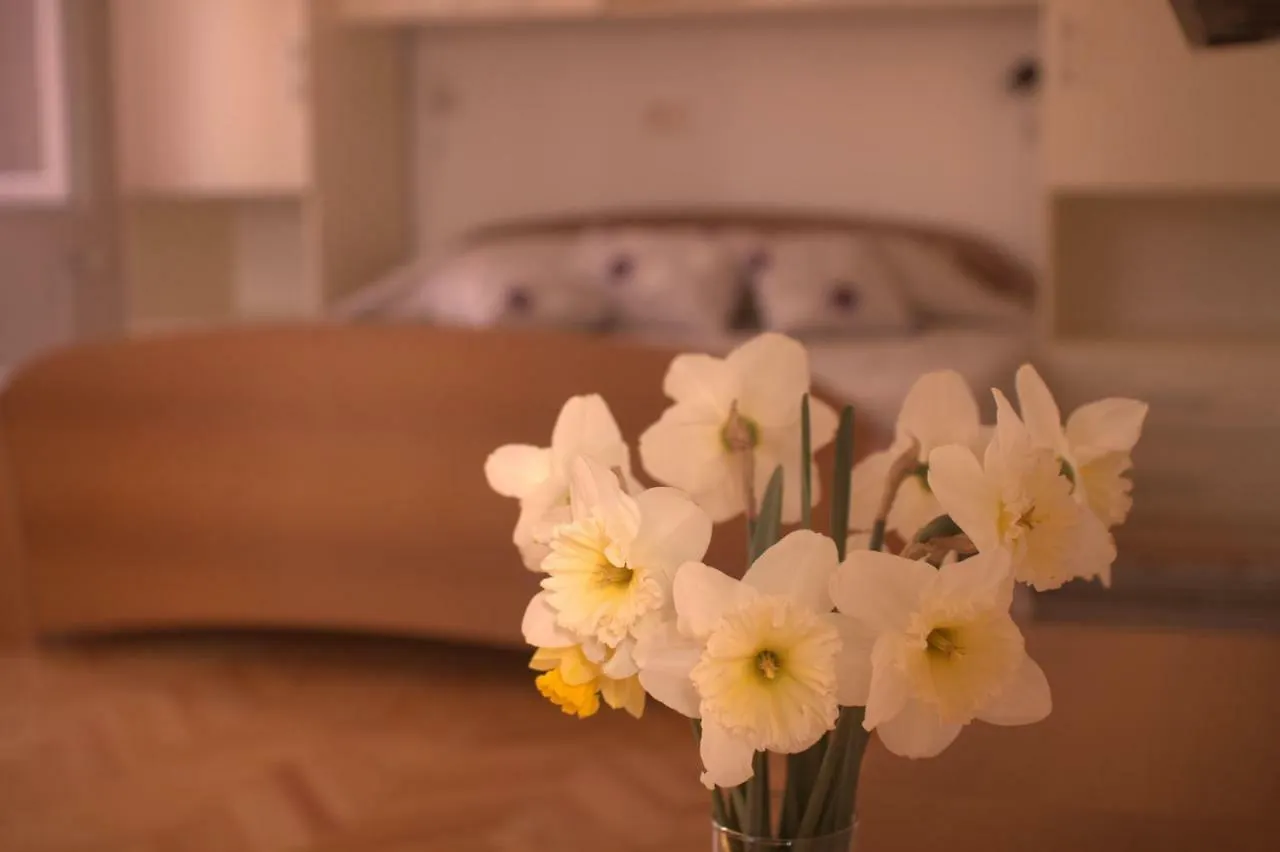 Apartments Katarina Porat Malinska